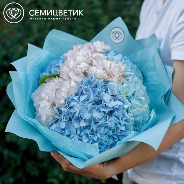 Букет из 5 голубых и розовых гортензий