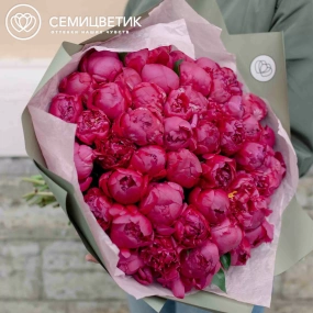 Букет из 51 ярко-розового пиона Standart Plus в зеленой пленке