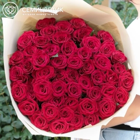 Букет из 51 красной розы 60 см (Россия) в голубой пленке