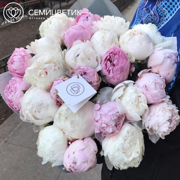 Букет из 25 белых и розовых пионов Premium