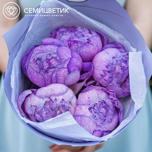 Букет из 5 фиолетовых пионов Premium