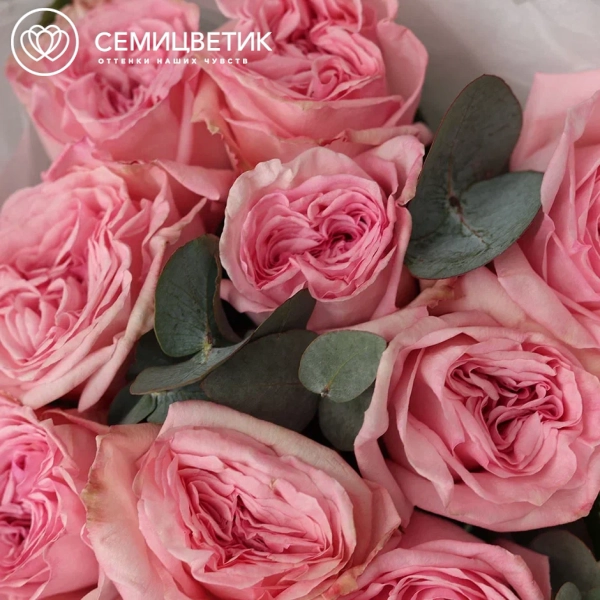 Букет из 9 пионовидных нежно-розовых роз Pink Ohara (Эквадор) 50 см с эвкалиптом
