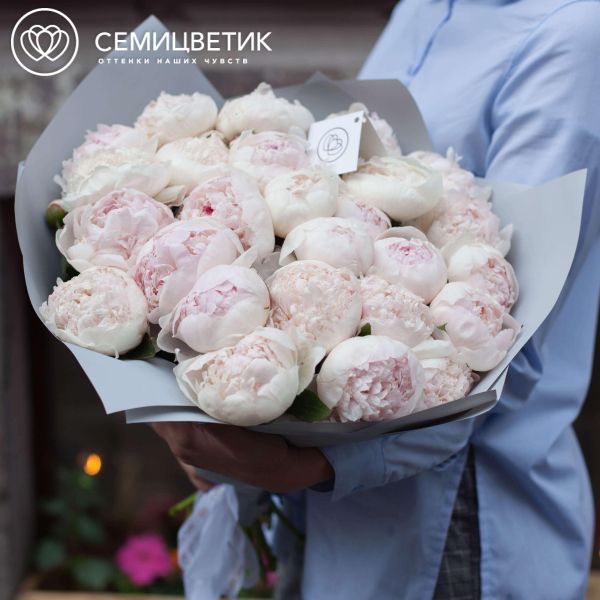 Букет из 25 нежно-розовых пионов Gardenia Premium