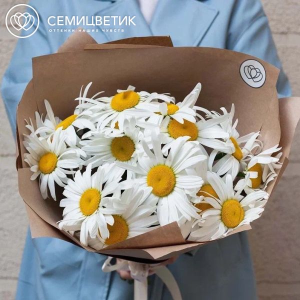 Букет из 15 одноголовых ромашек