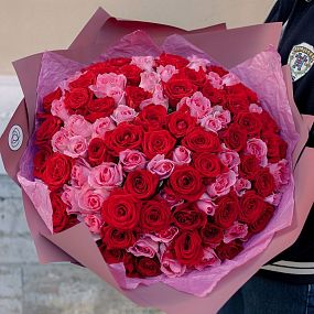 Букет из 101 красной и розовой розы 35-40 см (Россия)