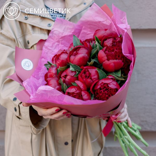 Букет из 15 бордовых пионов Premium