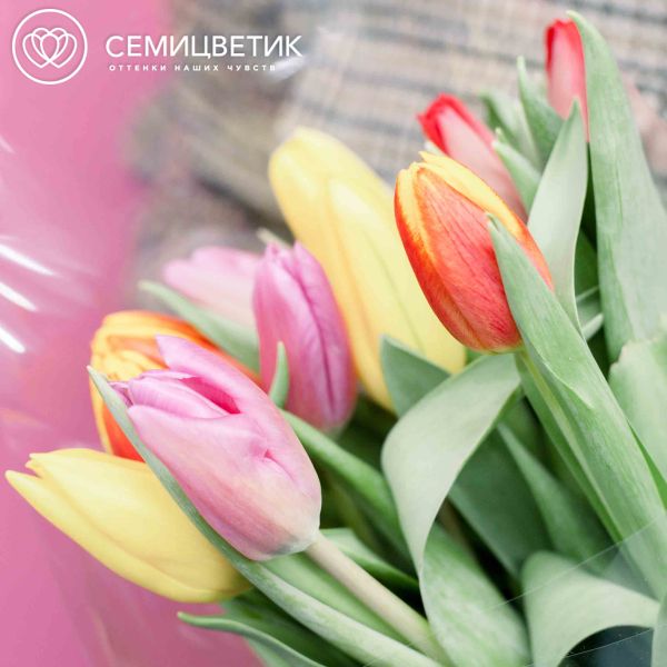 Букет из 11 тюльпанов микс 40 см