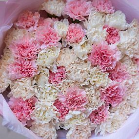 Букет из 51 розовой, белой и кремовой гвоздики