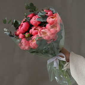 Букет из 15 пионов Coral Sunset Premium с эвкалиптом в полупрозрачной упаковке