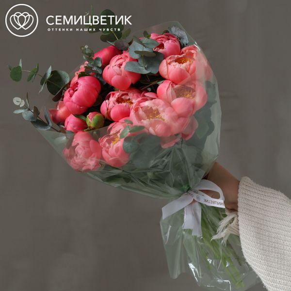 Букет из 15 пионов Coral Sunset Premium с эвкалиптом в полупрозрачной упаковке