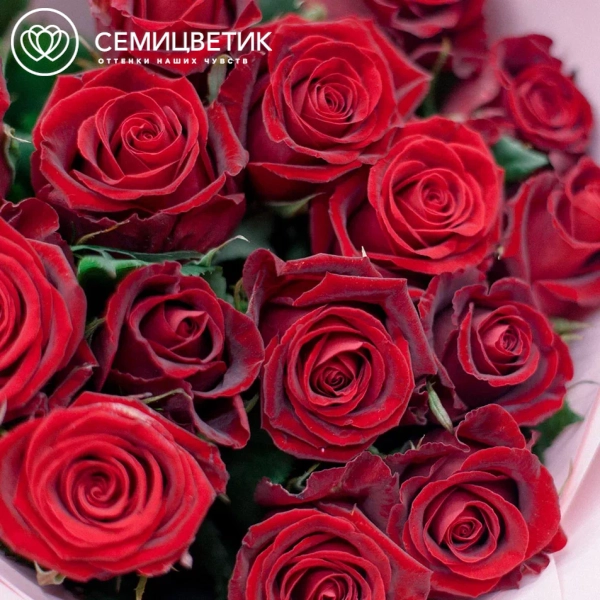 Букет из 15 красных роз 70 см (Россия)