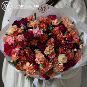 Букет из 51 кустовой гвоздики микс в прозрачной пленке