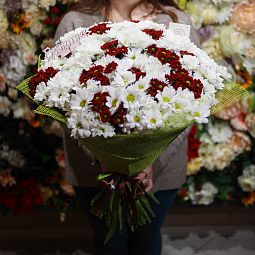 Букет из 51 белой и красной кустовой хризантемы
