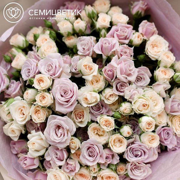 Букет из 25 кустовых кремовых и сиреневых роз 40 см (Кения)