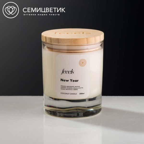 Свеча ароматическая Feeels Новый год 200 мл