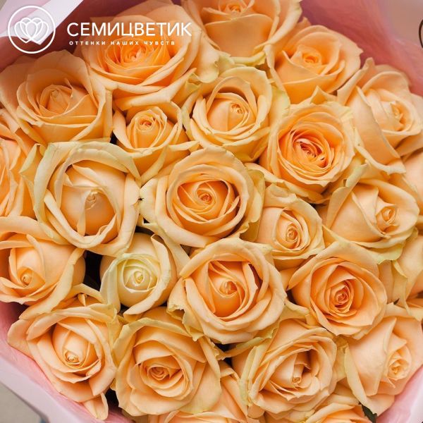 Букет из 25 кремовых роз 70 см (Россия) в розовой пленке