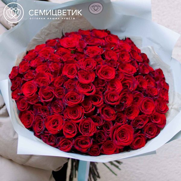 Букет из 101 красной с темной каймой розы Магия 60 см (Россия) 
