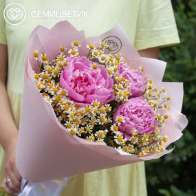 Букет из 3 розовых пионов Standart Plus и матрикарии в розовой пленке