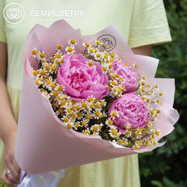 Букет из 3 розовых пионов Standart Plus и матрикарии в розовой пленке