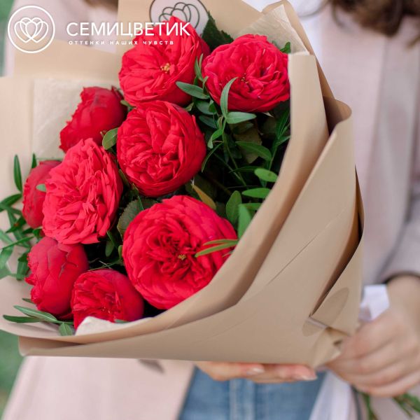 Букет из 9 красных пионовидных роз Red Piano 40 см с фисташкой