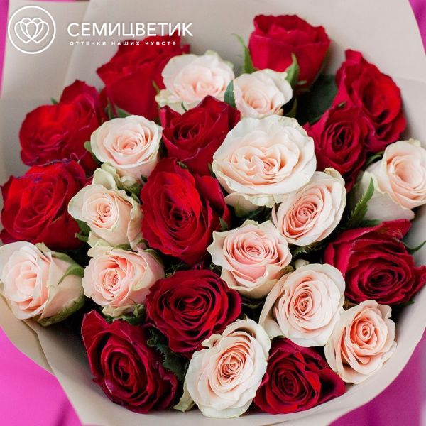 Букет из 25 красных и нежно-розовых роз 40 см (Кения) в кремовой пленке