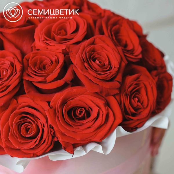 Букет в розовой шляпной коробке Amour из 33 красных роз Freedom (Эквадор) 