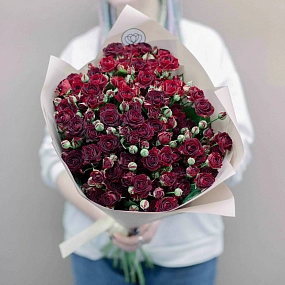 Букет из 15 красных кустовых роз 70 см (Россия) в кремовой пленке