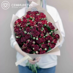 Букет из 15 красных кустовых роз 70 см (Россия) в кремовой пленке