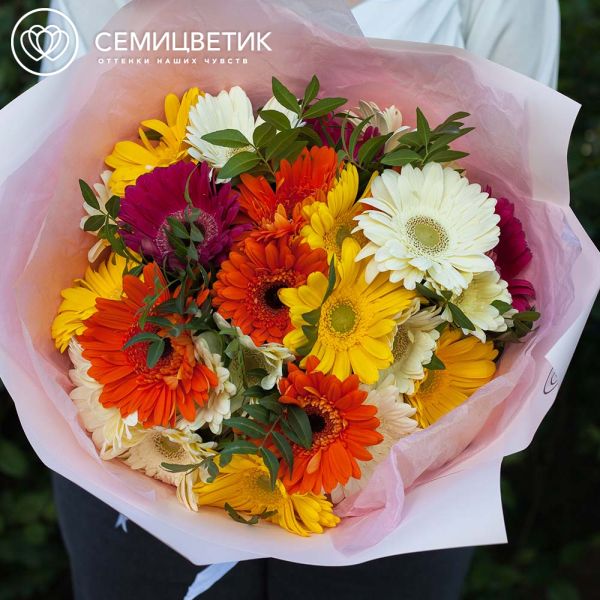 Букет из 25 гербер с фисташкой