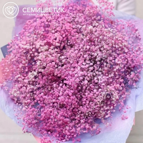Букет из 25 розовых гипсофил в сиреневой пленке