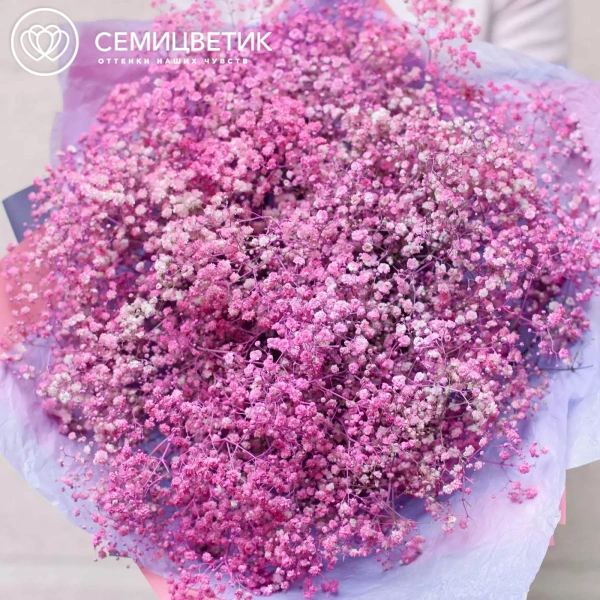 Букет из 25 розовых гипсофил в сиреневой пленке