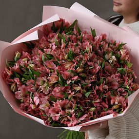 Букет из 101 розовой альстромерии