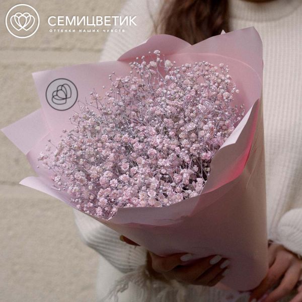 Букет из 11 розовых гипсофил в розовой пленке