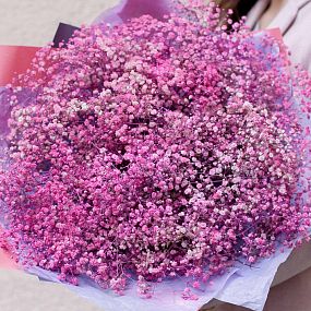 Букет из 25 розовых гипсофил