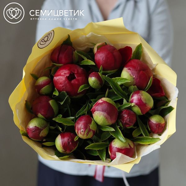 Букет из 15 бордовых пионов Premium Red Grace