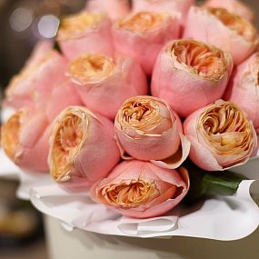 Букет в белой шляпной коробке Amour Mini из 25 пионовидных роз Vuvuzela