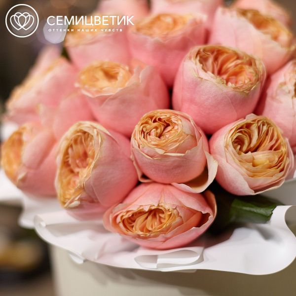 Букет в белой шляпной коробке Amour Mini из 25 пионовидных роз Vuvuzela