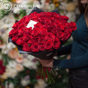 Букет из 51 красной розы Freedom 60 см (Эквадор) в бордовой пленке