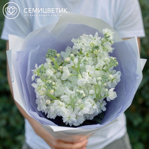 Букет из 9 белых махровых маттиол