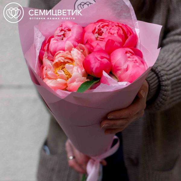 Букет из 5 коралловых пионов Coral Sunset Premium в розовой пленке