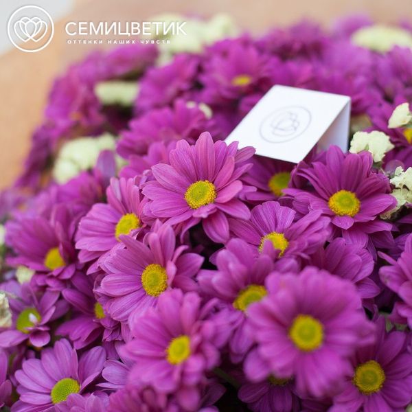 Букет из 25 кустовых хризантем со статицей