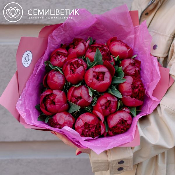 Букет из 15 бордовых пионов Premium