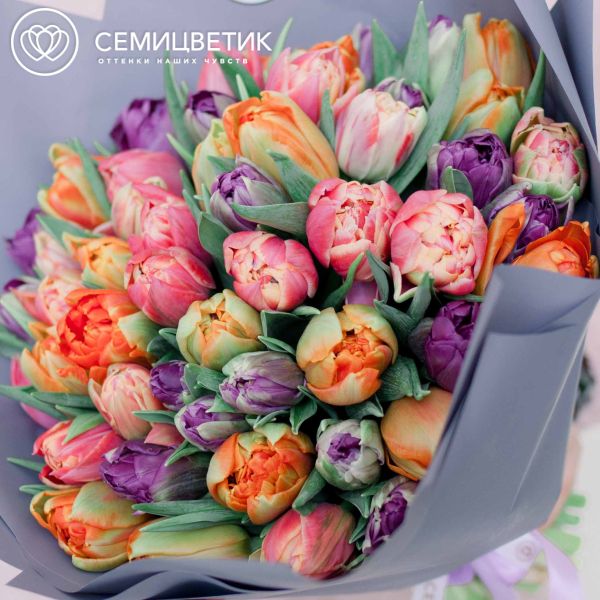 Букет из 51 пионовидного тюльпана микс в сиреневой пленке