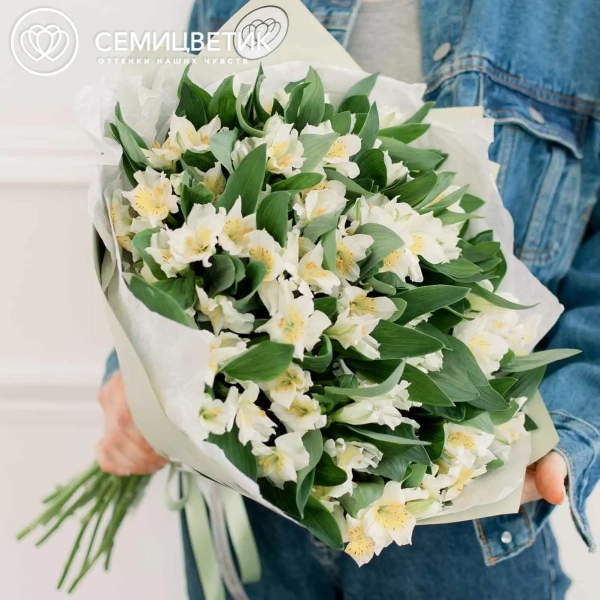 Букет из 23 белых альстромерий в зеленой пленке