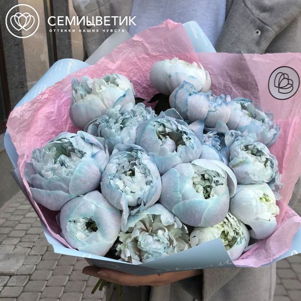Букет из 15 голубых пионов Premium в голубой пленке