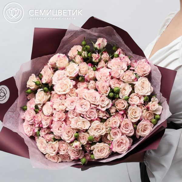 Букет из 25 белых с розовой каймой кустовых роз 40 см (Кения) в бордовой пленке