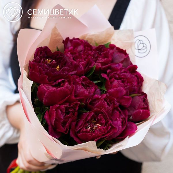 Букет из 15 бордовых пионов Standart Plus