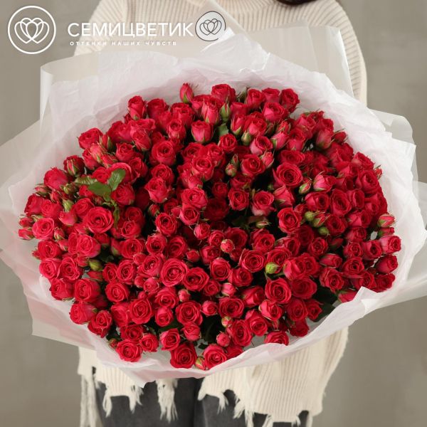 Букет из 51 малиновой кустовой розы 40-50 см (Россия)