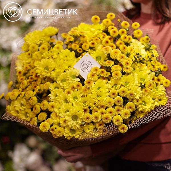 Букет из 15 кустовых хризантем 100 см