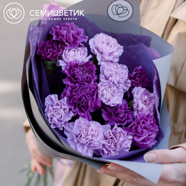 Букет из 15 сиреневых и фиолетовых гвоздик в сиреневой пленке
